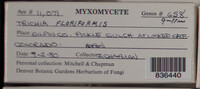 Image Associated With the Occurence